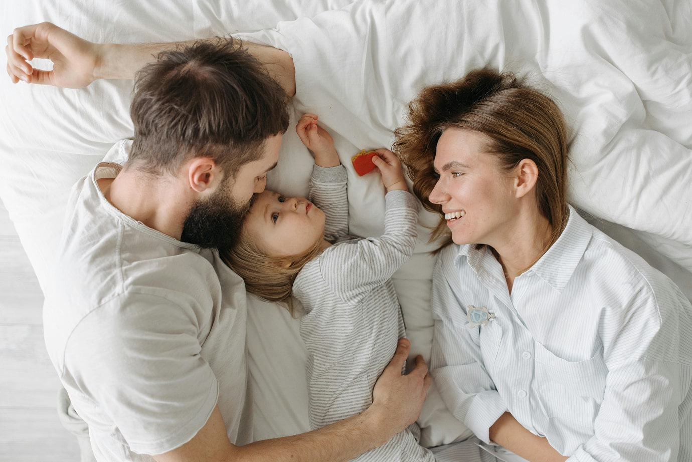 Bed Bug Treatment Services in Ottawa